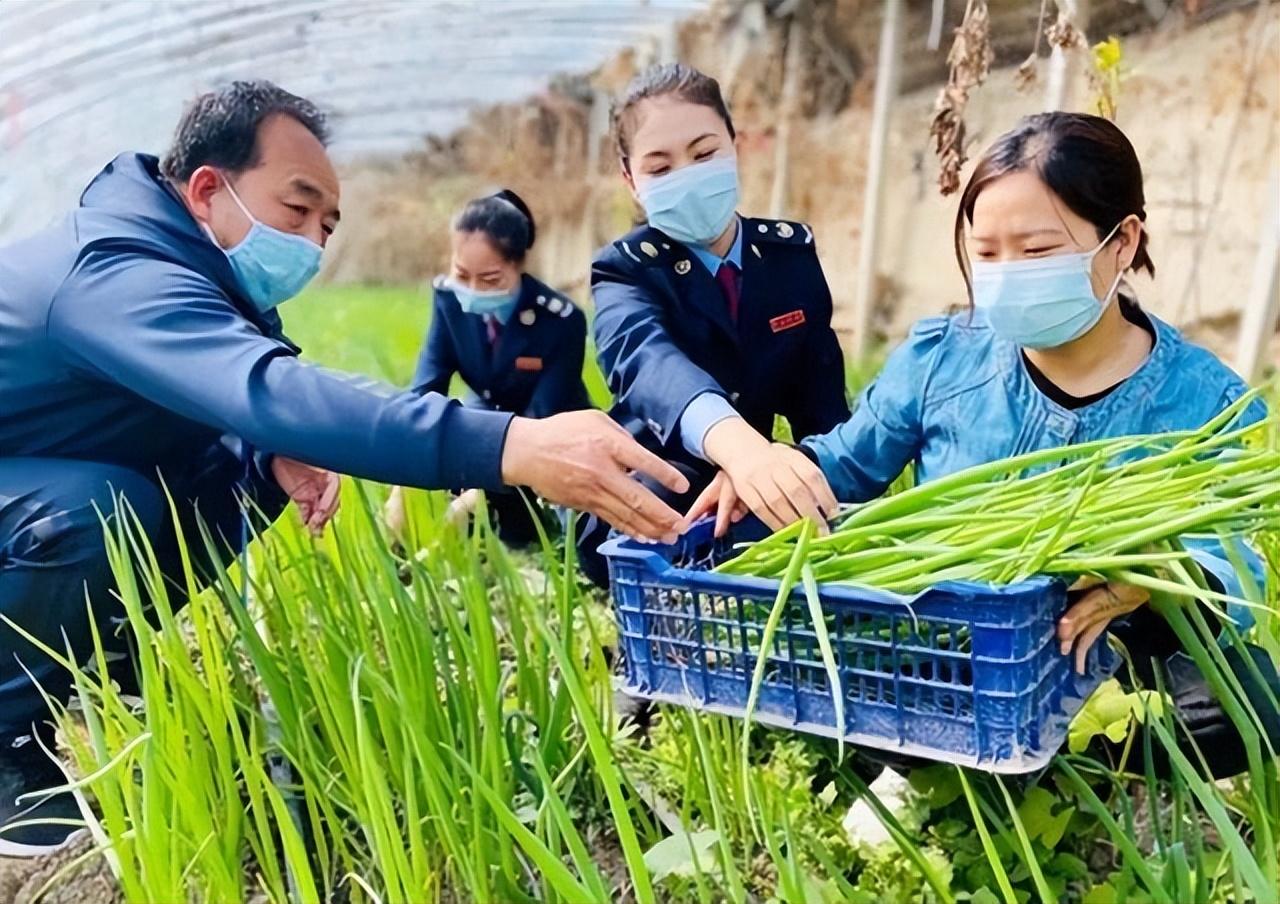 事业单位考试的时间安排解析，通常考试在几月份进行？