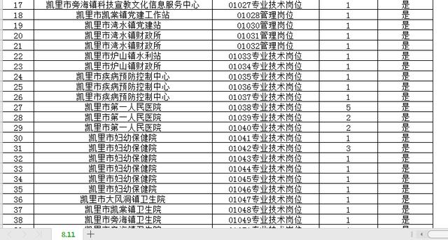 XX月事业单位考试岗位表深度分析与解读