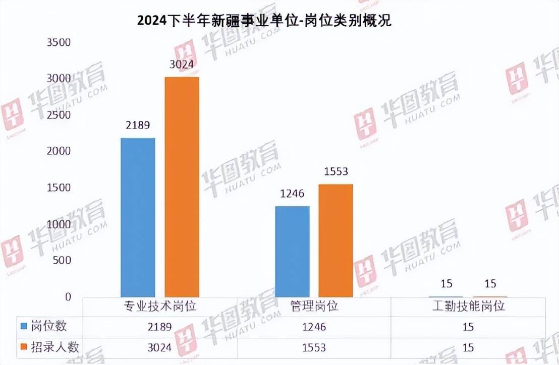 新疆事业单位职位多元视角比较与发展分析