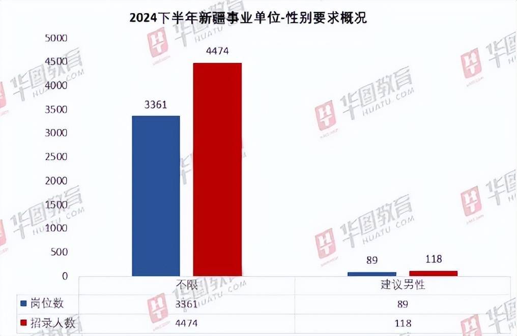 新疆事业编岗位表2024概览及深度解读