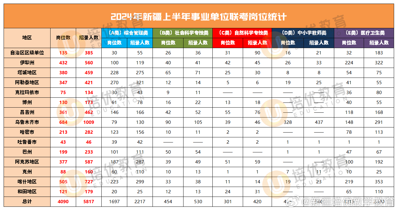 新疆2024年事业单位职位表全面解读与概览