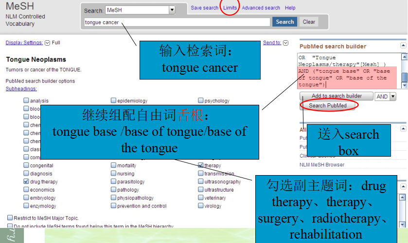 新澳正版资料免费提供,稳定性操作方案分析_Tablet26.370