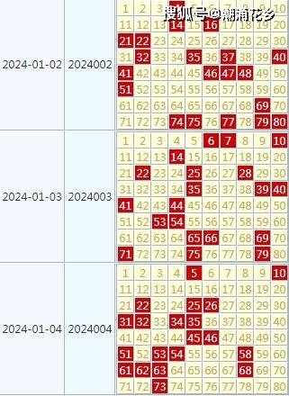 2024新奥天天开好彩大全,仿真实现方案_X79.645