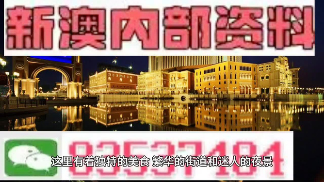 新澳门精准资料大全管家婆料,实时说明解析_挑战款175.185