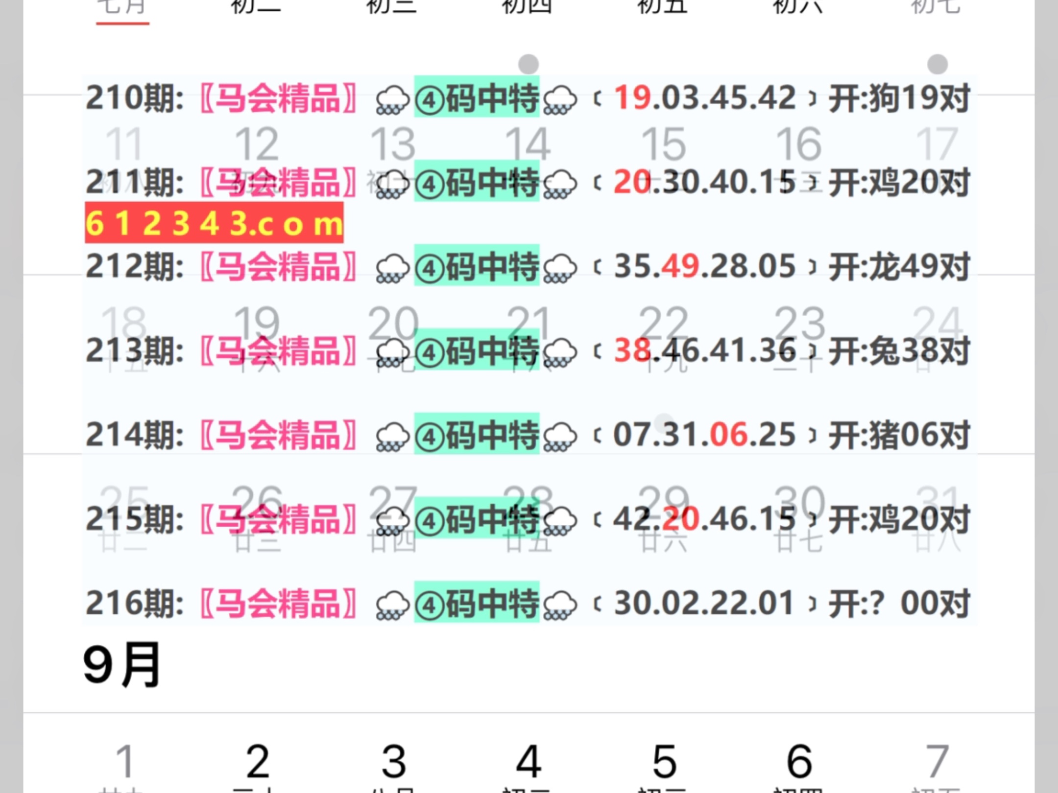 2024年新奥门天天开彩,快捷问题处理方案_入门版62.855