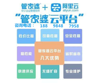 7777788888精准管家婆,适用解析方案_HT98.82