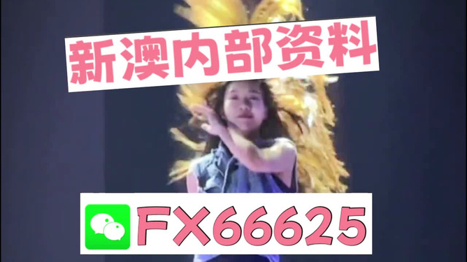 新澳门内部一码精准公开网站,深入解析数据应用_RX版45.555