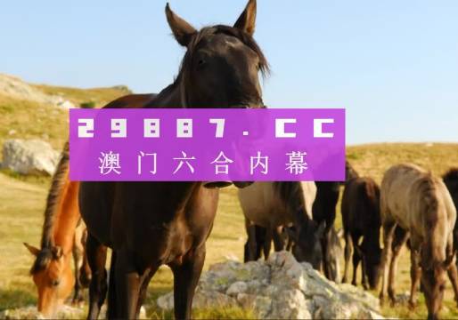 澳门管家婆-肖一码,标准化流程评估_挑战版14.608