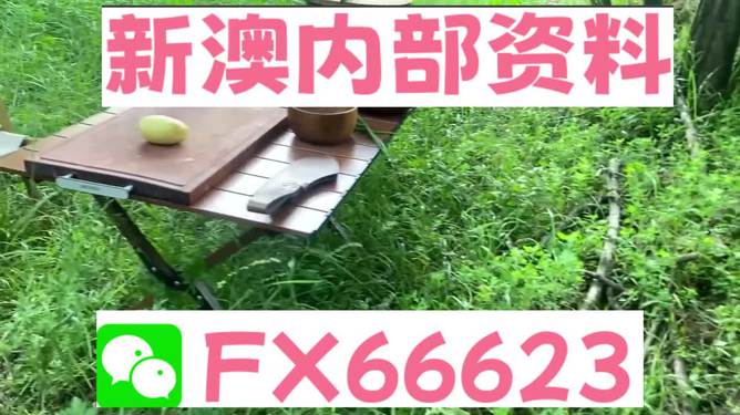 新澳内部一码精准公开,快速解析响应策略_钻石版77.768