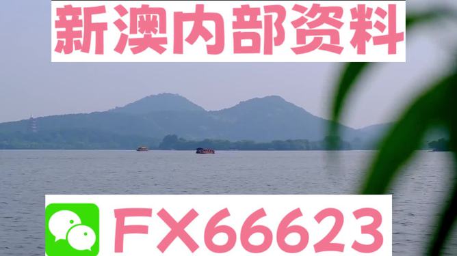 新澳天天资料免费大全,确保成语解释落实的问题_FHD版95.817