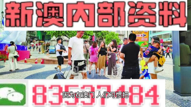 2024新澳今晚资料,实践分析解析说明_理财版86.781