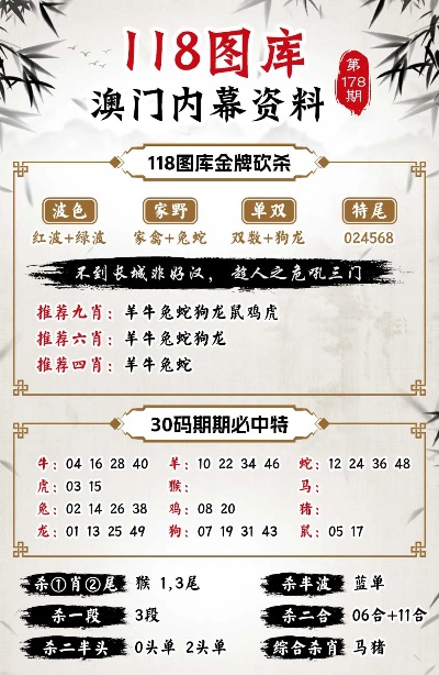 2024澳门王中王100%期期中,科学解析评估_潮流版16.982