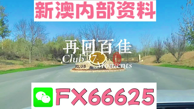 澳彩资料免费资料大全,适用性策略设计_W79.482