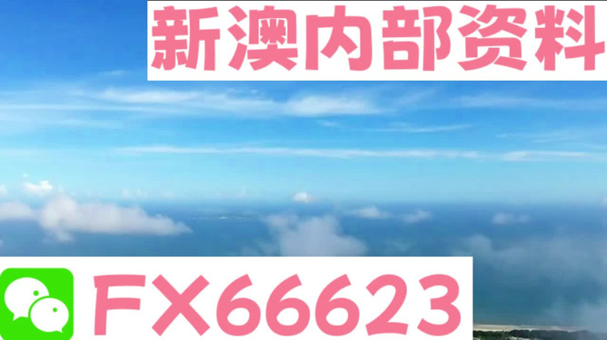 2024新澳免费资料大全penbao136,适用性执行设计_N版77.741