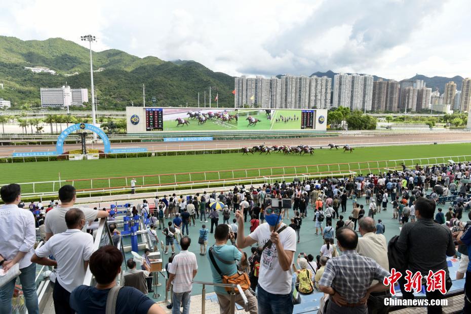 香港今晚开什么特马,可靠性方案操作策略_入门版88.518