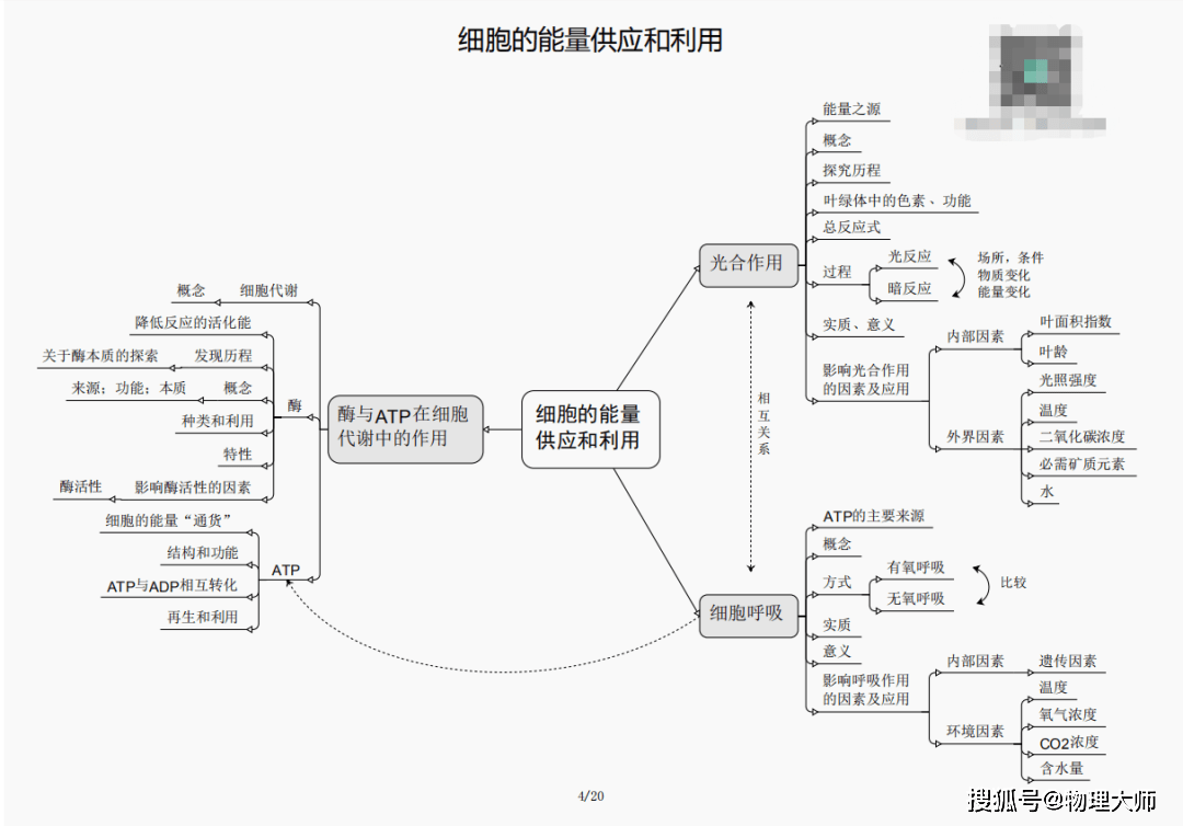 ╯女人，就要忠自我的男人 第11页