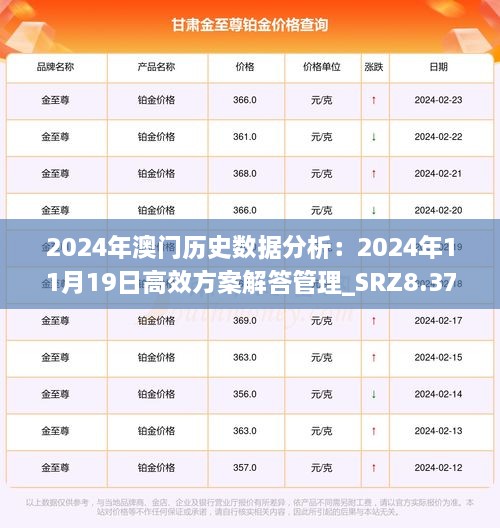 2024澳门历史记录查询,调整细节执行方案_bundle58.884