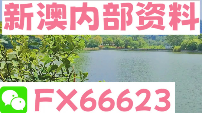 新澳精准资料免费提供生肖版,精细设计解析策略_游戏版48.909