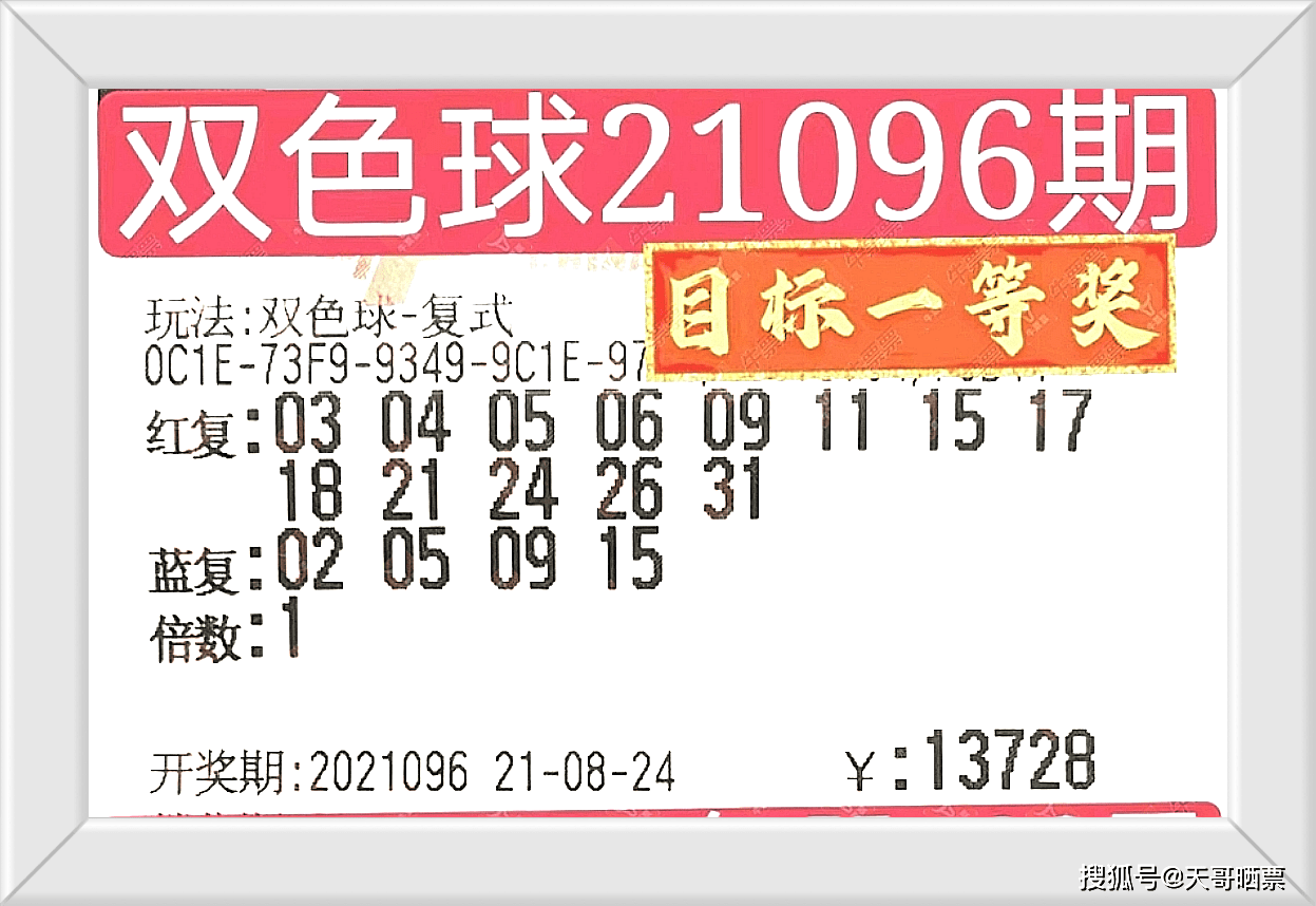 2024澳门特马今晚开什么码,国产化作答解释落实_网红版19.120