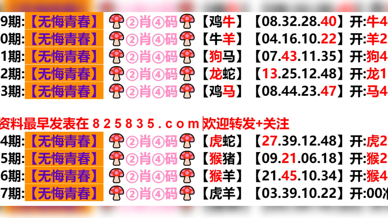 2024新澳门天天开好彩大全孔的五伏,创新性执行计划_Z74.982