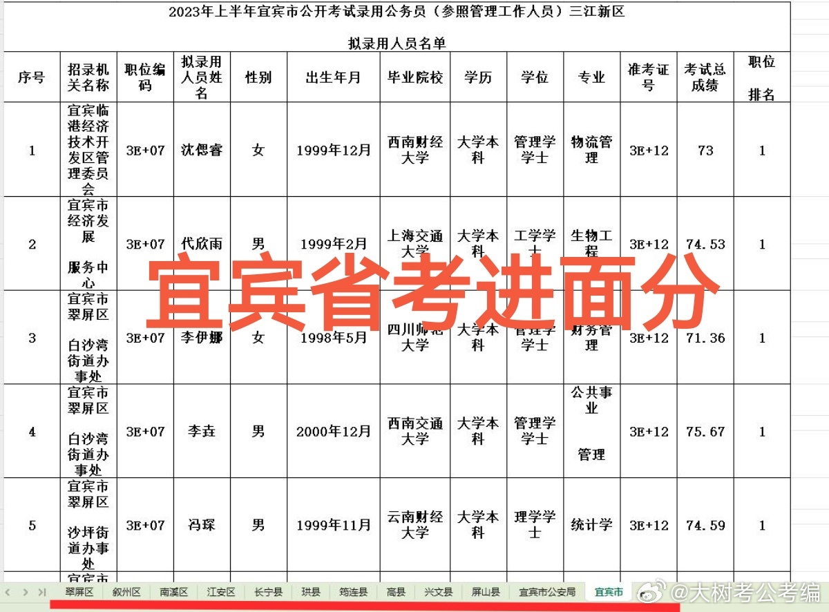 四川省考成绩公布，查询、分析与应对策略