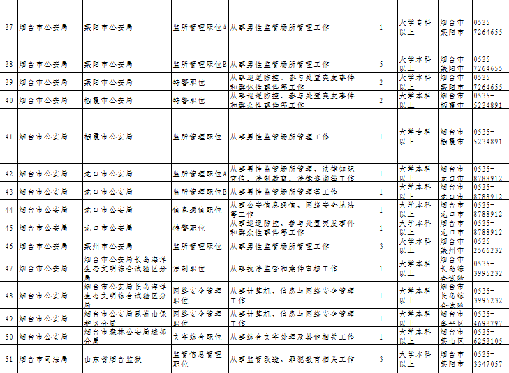 公务员招聘全览，洞悉流程与关键要素一览表