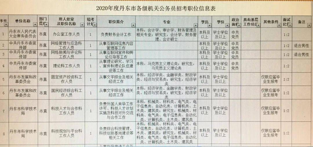 新时代信息技术类公务员岗位，重要角色与面临的挑战