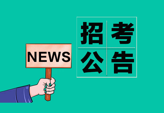 海关招聘官网，职业发展的探索门户