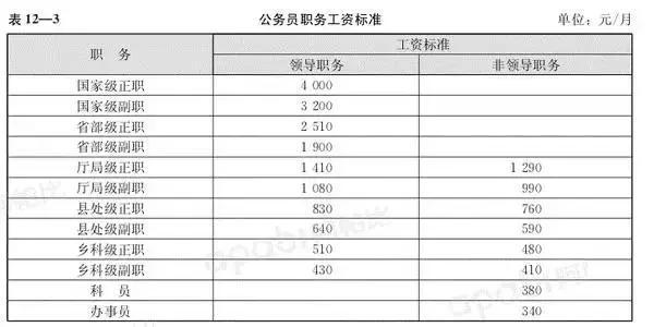 公务员财务岗位等级划分与意义解析