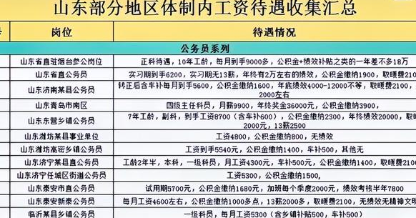 财务公务员待遇深度解析与探讨