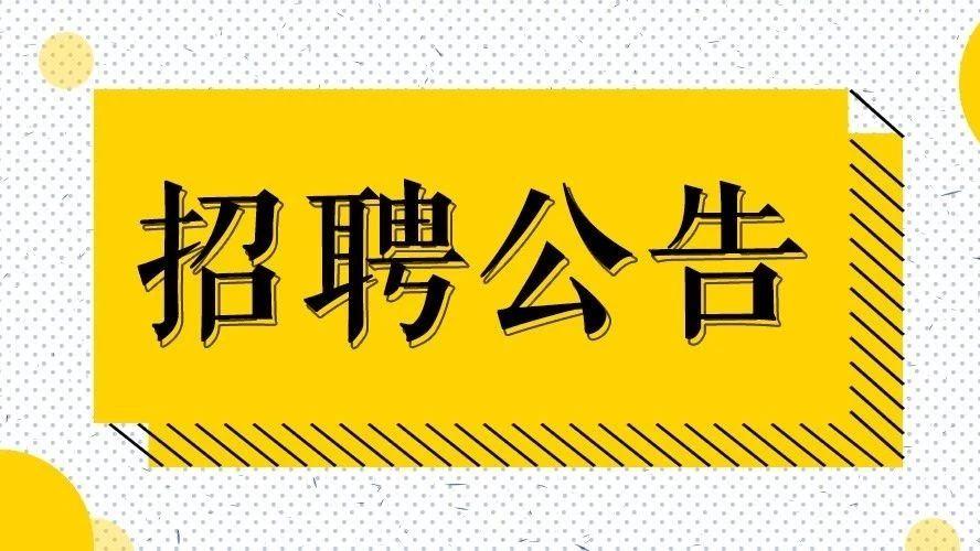 全面解析与深度探讨，银行招聘职位详解