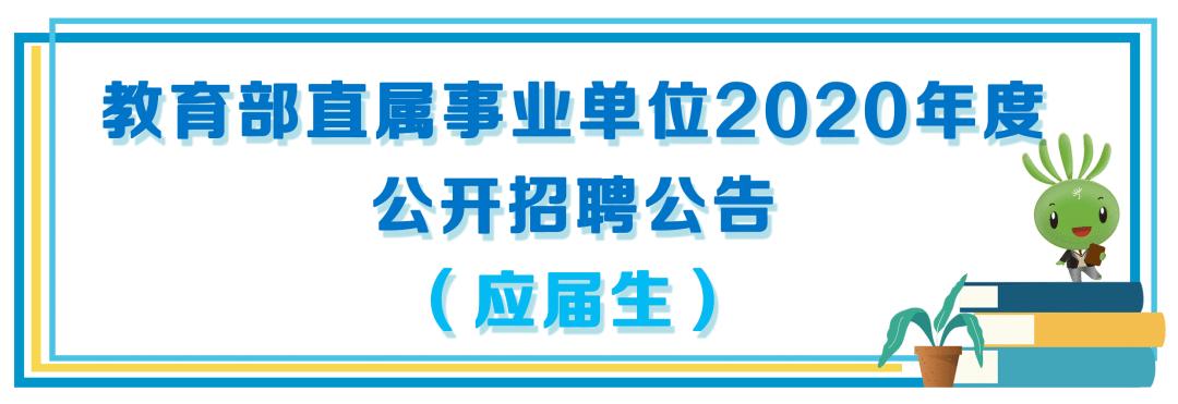 应届生事业编制岗位探索，启示与展望