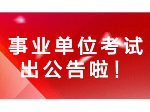 数字化时代下的事业单位招聘革新之路网上公告发布