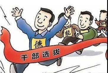 乡镇事业单位定向招聘，解析、实践与挑战