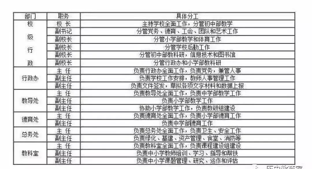 事业编制财务岗位的核心职责与角色概述