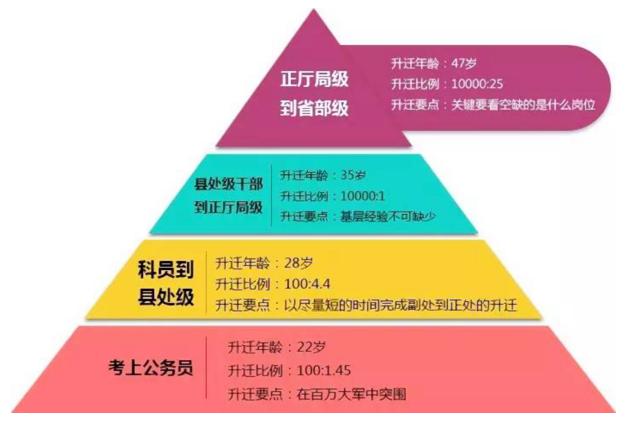 事业编制报考官网入口，探索、解读与指南