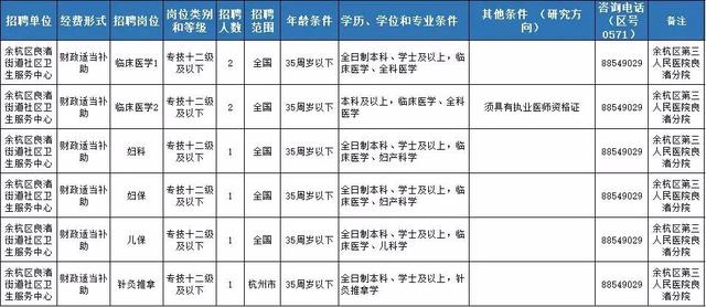 政府信息技术岗位，角色、职责与未来展望