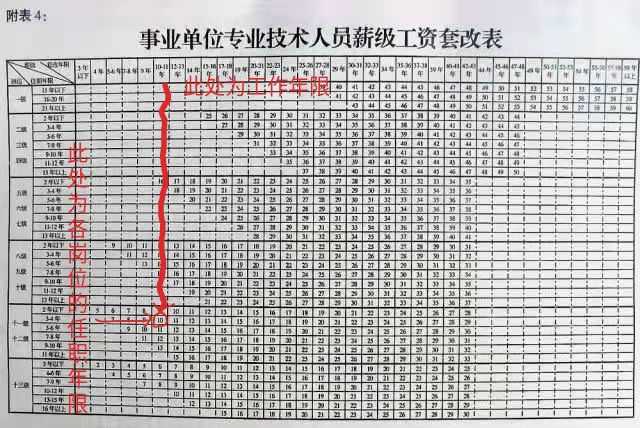 事业编信息技术岗待遇、现状及未来挑战与前景展望