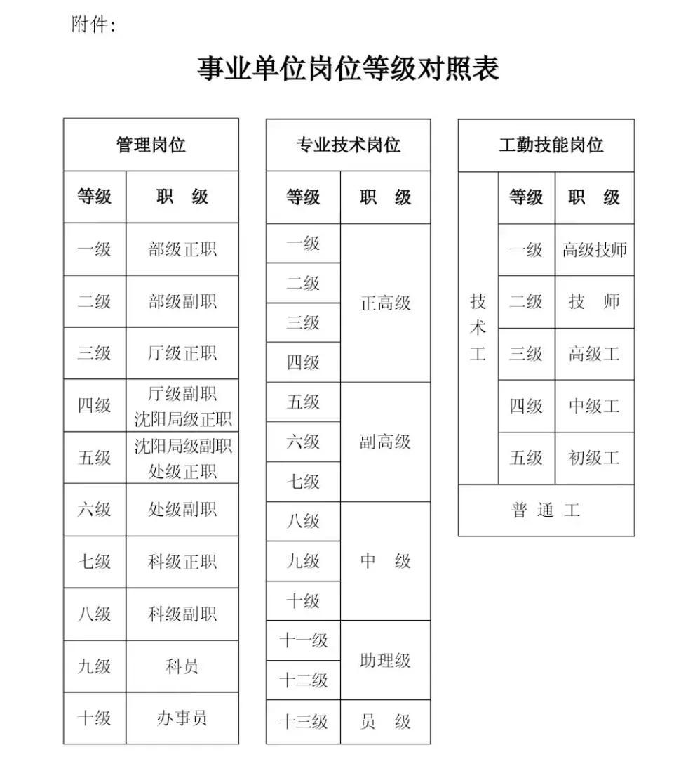 事业单位信息管理岗位的工作职责与任务深度解析