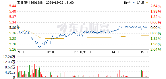 农行银行股票投资价值深度解析