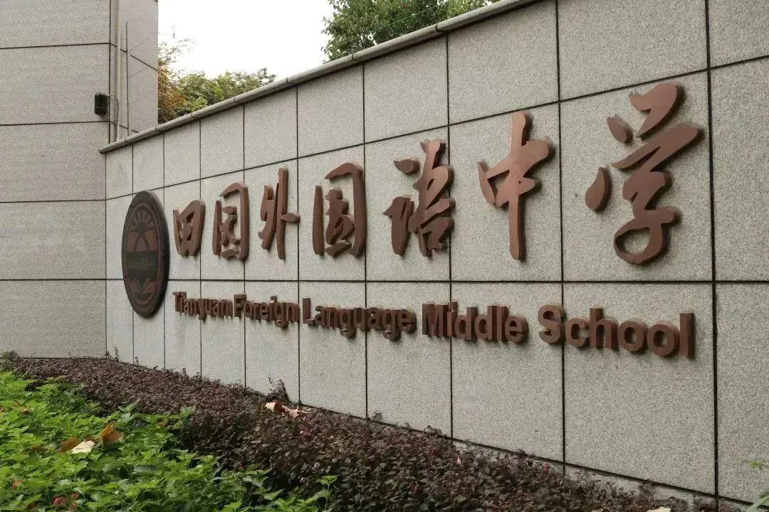 闵行事业编外人员公示制度及其影响分析概览