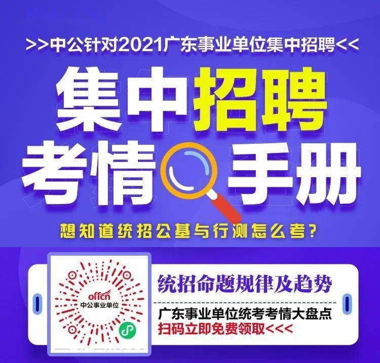 深圳市事业单位招聘，人才选拔的新高地