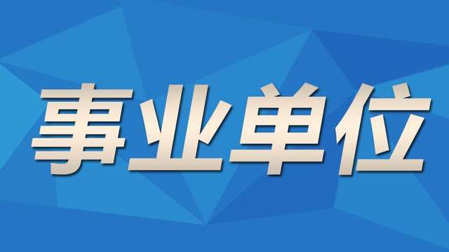 事业单位招工面试深度剖析与解析