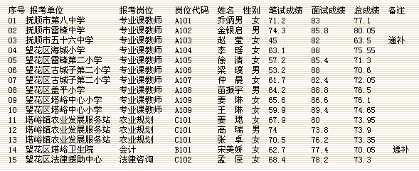 事业编录取名单公布，探讨背后的细节与影响