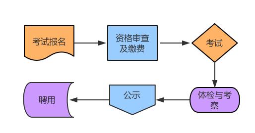 事业单位考察程序全面解析与实践指南手册