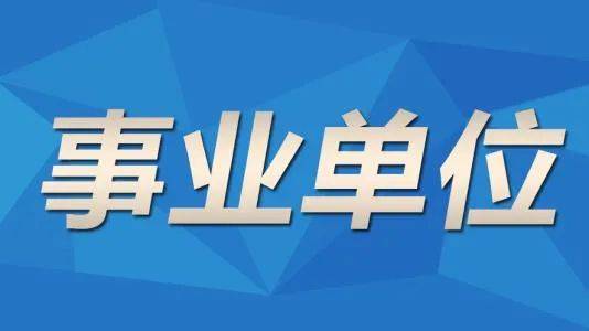 事业单位考察深度解析，多维度挖掘人才素质与潜力